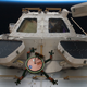 Illustration for article titled NASA's Gecko Adhesive Can Cling On in the Vacuum of Space